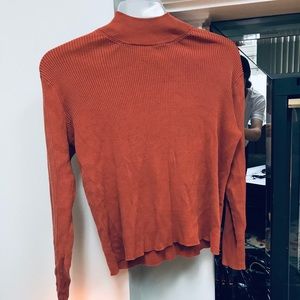 Coldwater Creek turtleneck sweater!